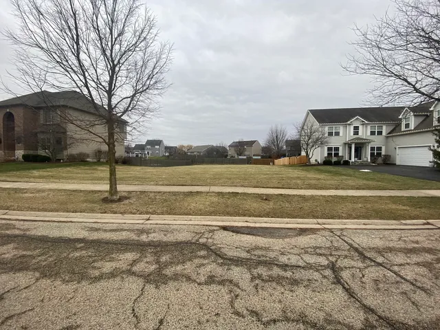a view of a town with large trees