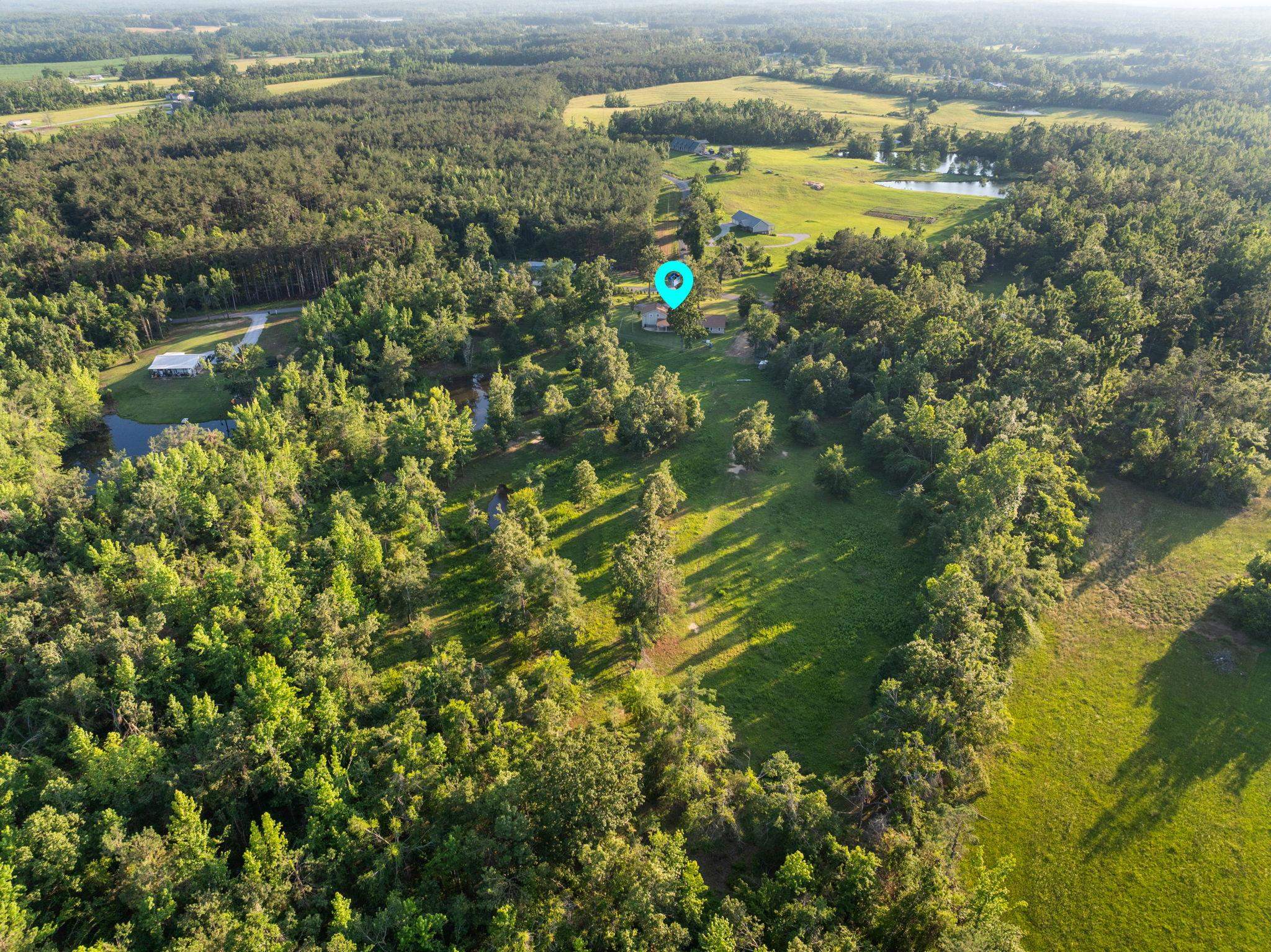 66 County Road 511 Corinth, MS 38834 - Photo 40 of 40 Expansive rural property featuring a mix of mature woodland and open grassy areas