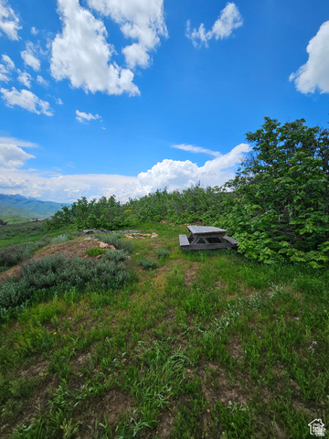 3378 North Oak Cyn Road, Unit 526 Huntsville, UT 84317 - Photo 3 of 24 View of yard