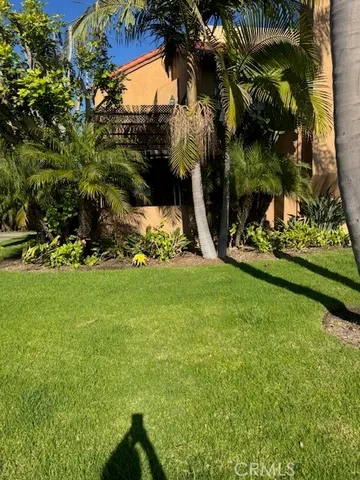 a view of a backyard with a garden and plants