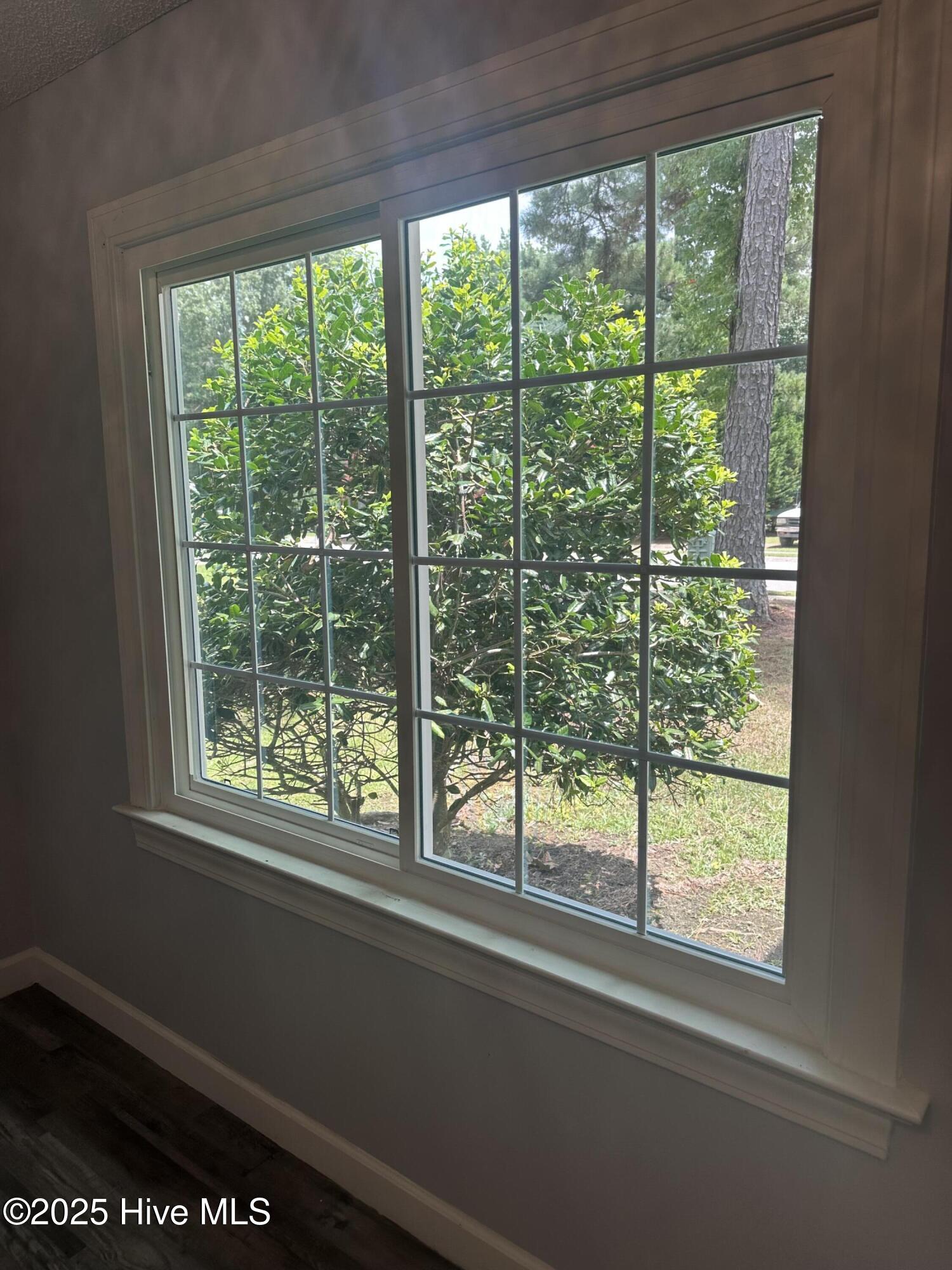 2116 Tanglewood Road Rocky Mount, NC 27804 - Photo 26 of 27 NEW WINDOWS JULY 2025