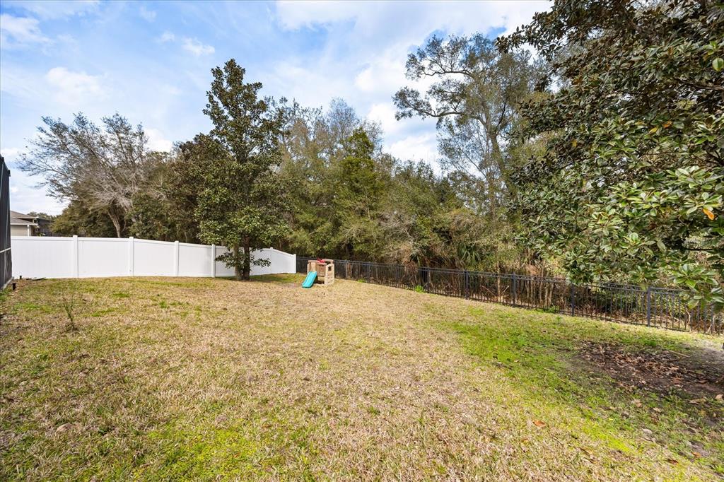 5066 Rishley Run Way Mount Dora, FL 32757 - Photo 32 of 46