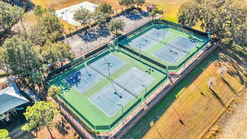 5066 Rishley Run Way Mount Dora, FL 32757 - Photo 43 of 46