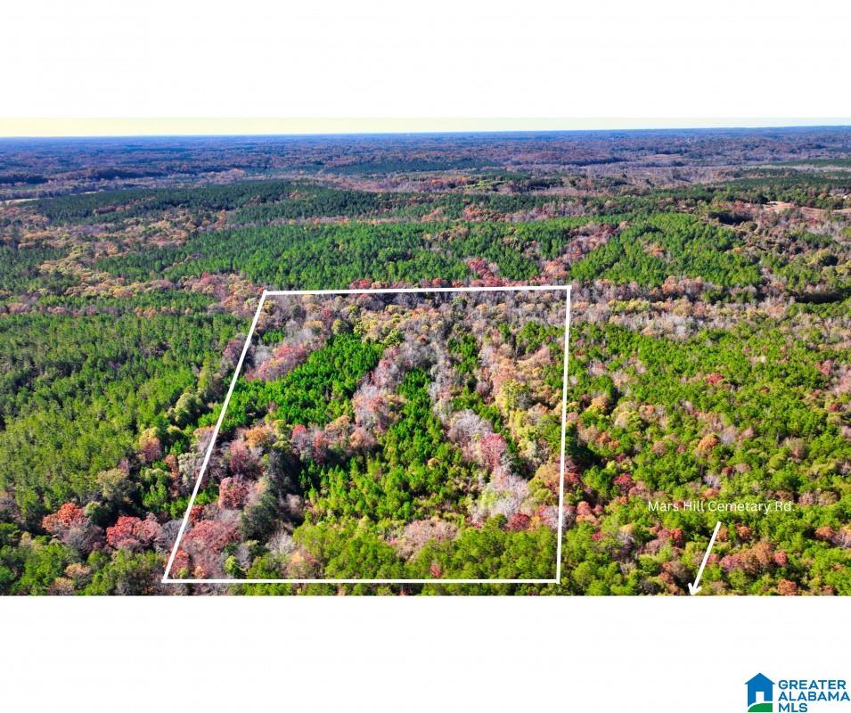 0 Cemetery Road Marion, AL 36756 - Photo 2 of 7