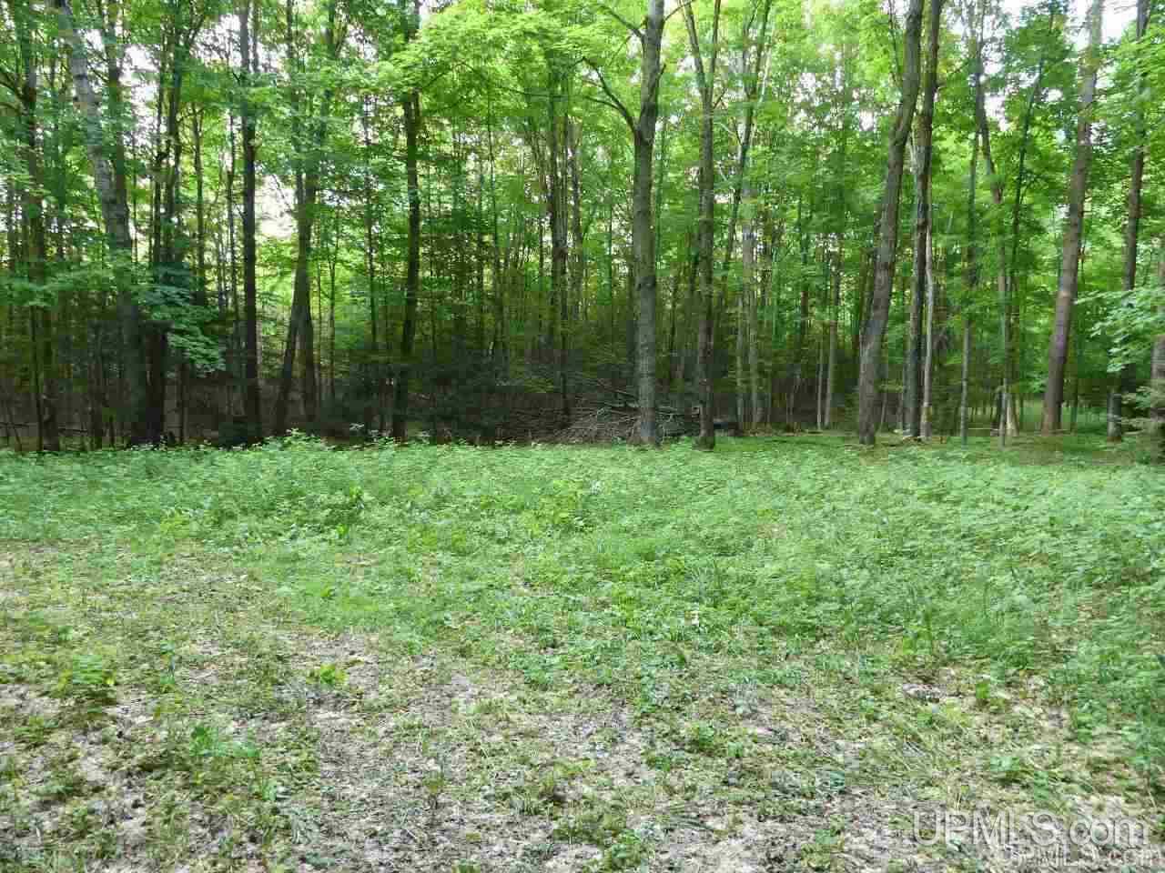 1 County Road 58 Road Grand Marais, MI 49839 - Photo 11 of 25 Gallery Image 11