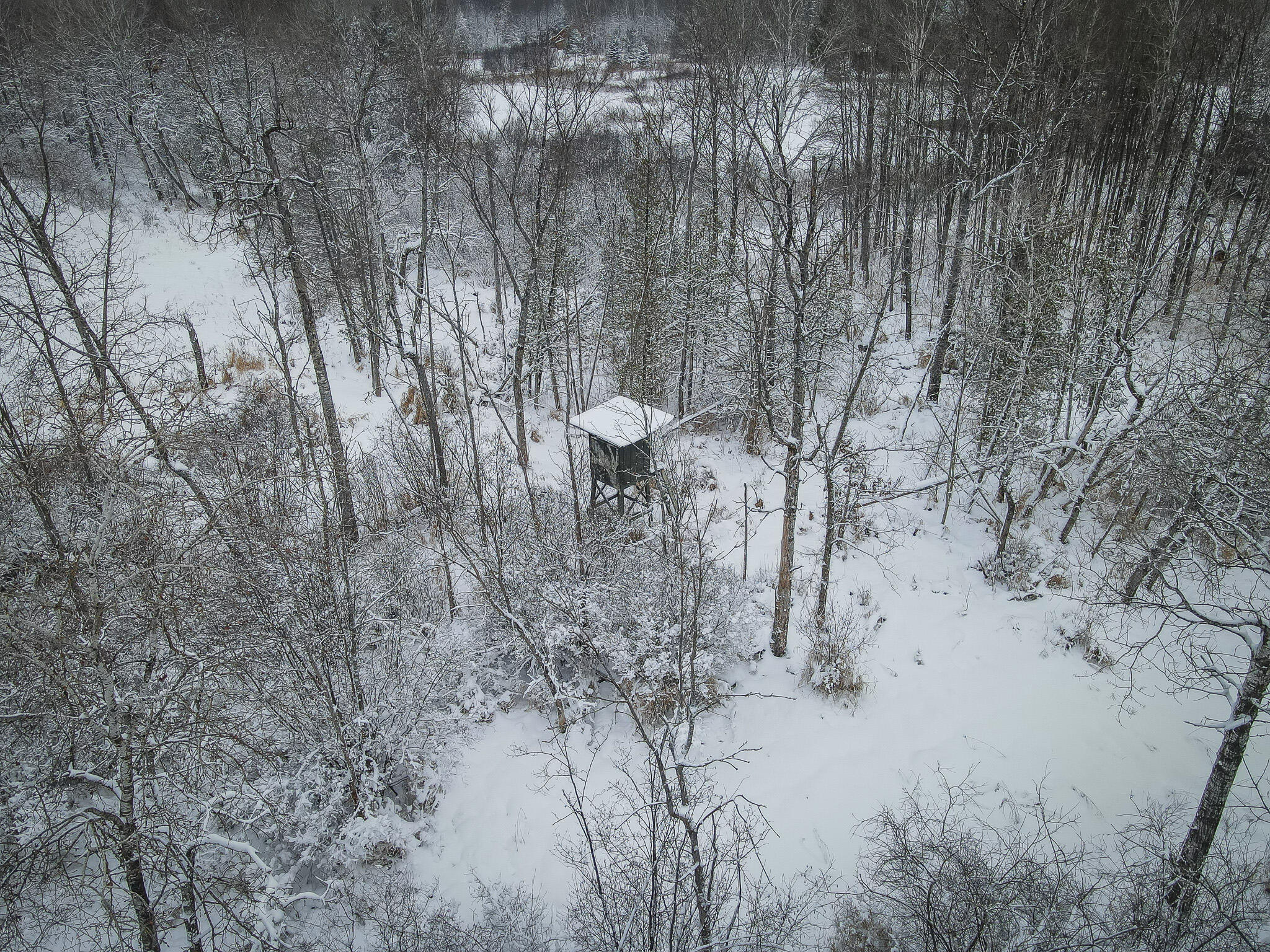 8111 West 50 Road Cadillac, MI 49601 - Photo 54 of 72 DJI_0789