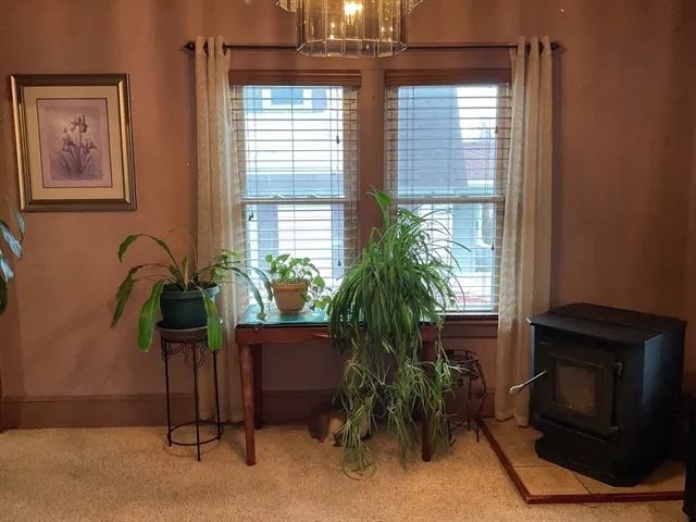 a potted plant sitting in front of a window