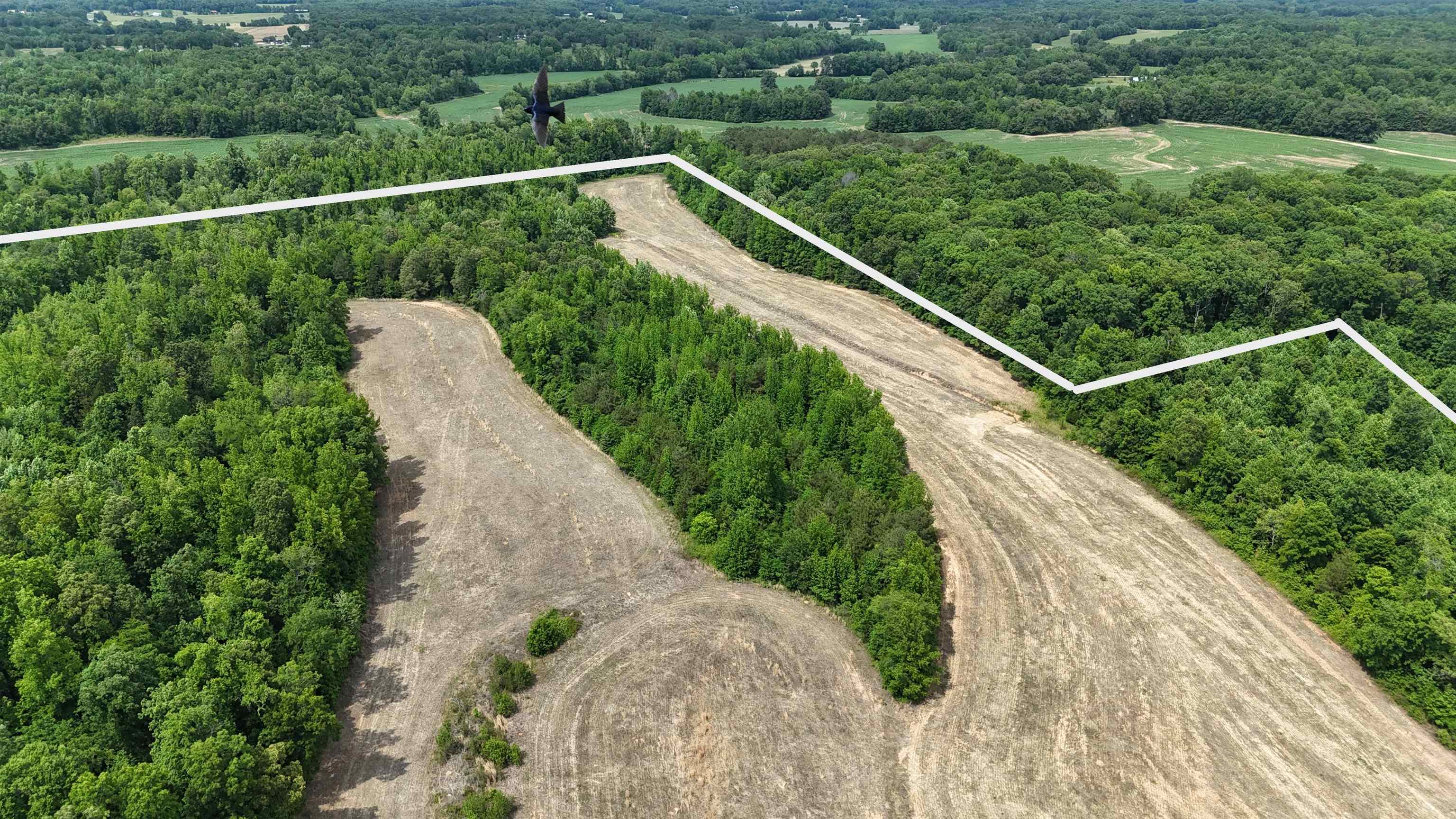 1200 Sand Ridge Bargerton Road Lexington, TN 38351 - Photo 9 of 24