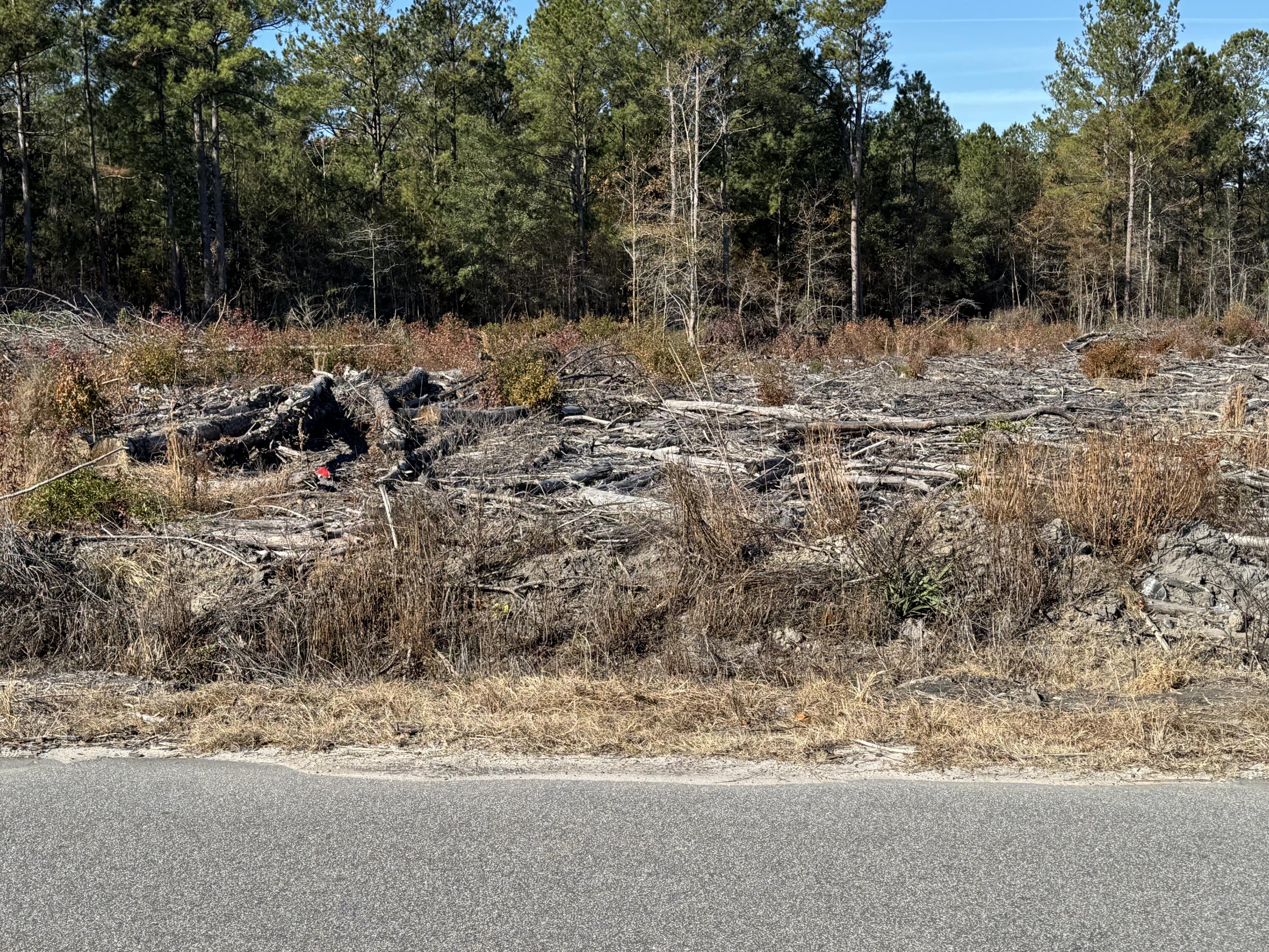 940 Fauling Road St. Stephen, SC 29479 - Photo 1 of 10 IMG_1018