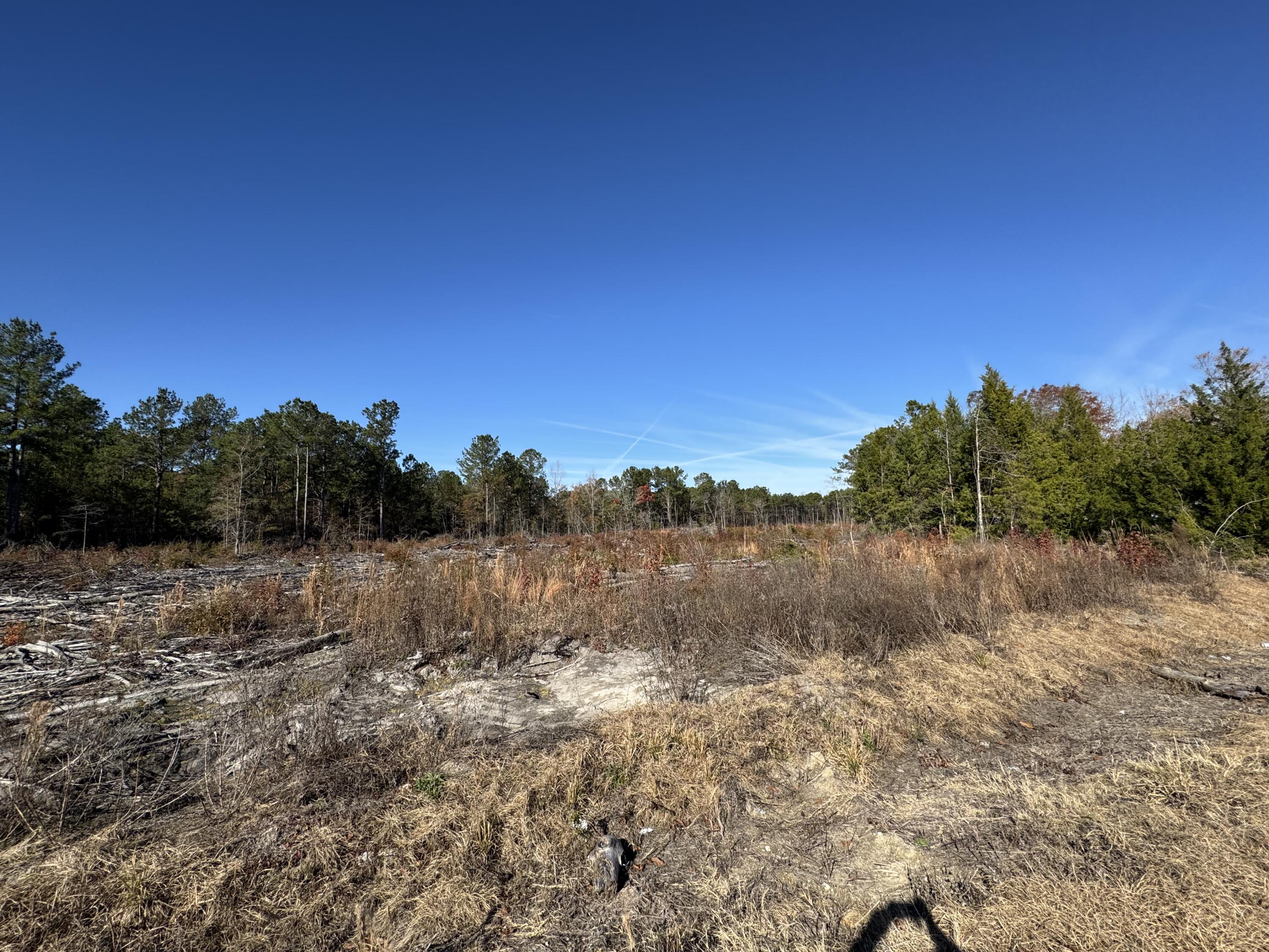 940 Fauling Road St. Stephen, SC 29479 - Photo 3 of 10 IMG_1014