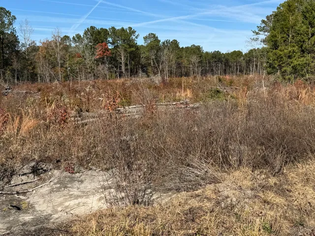 $300,000 | 940 Fauling Road, St. Stephen, SC 29479