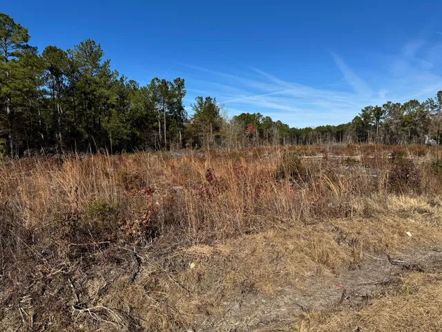 $300,000 | 940 Fauling Road, St. Stephen, SC 29479