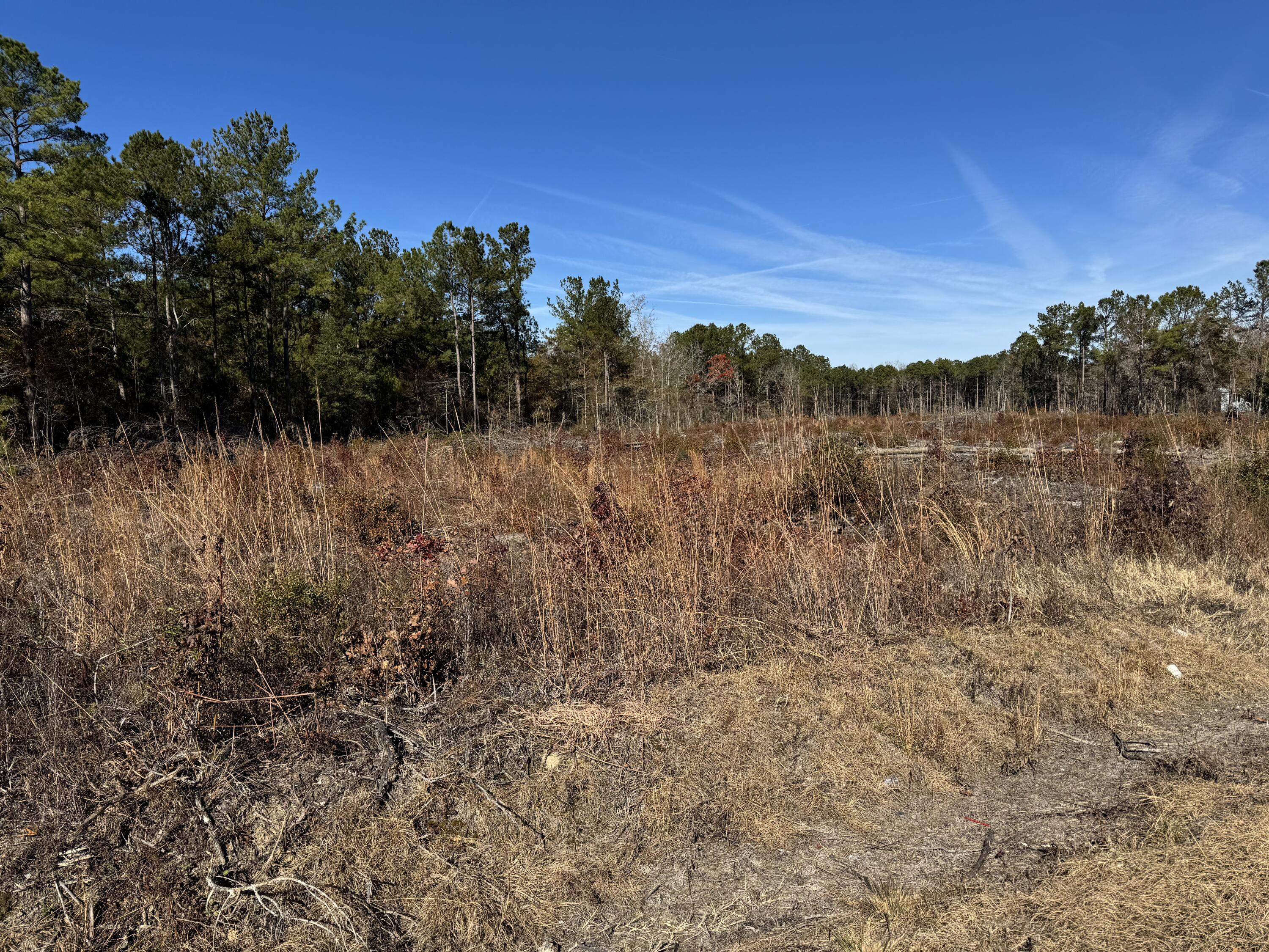 940 Fauling Road St. Stephen, SC 29479 - Photo 6 of 10 IMG_1005