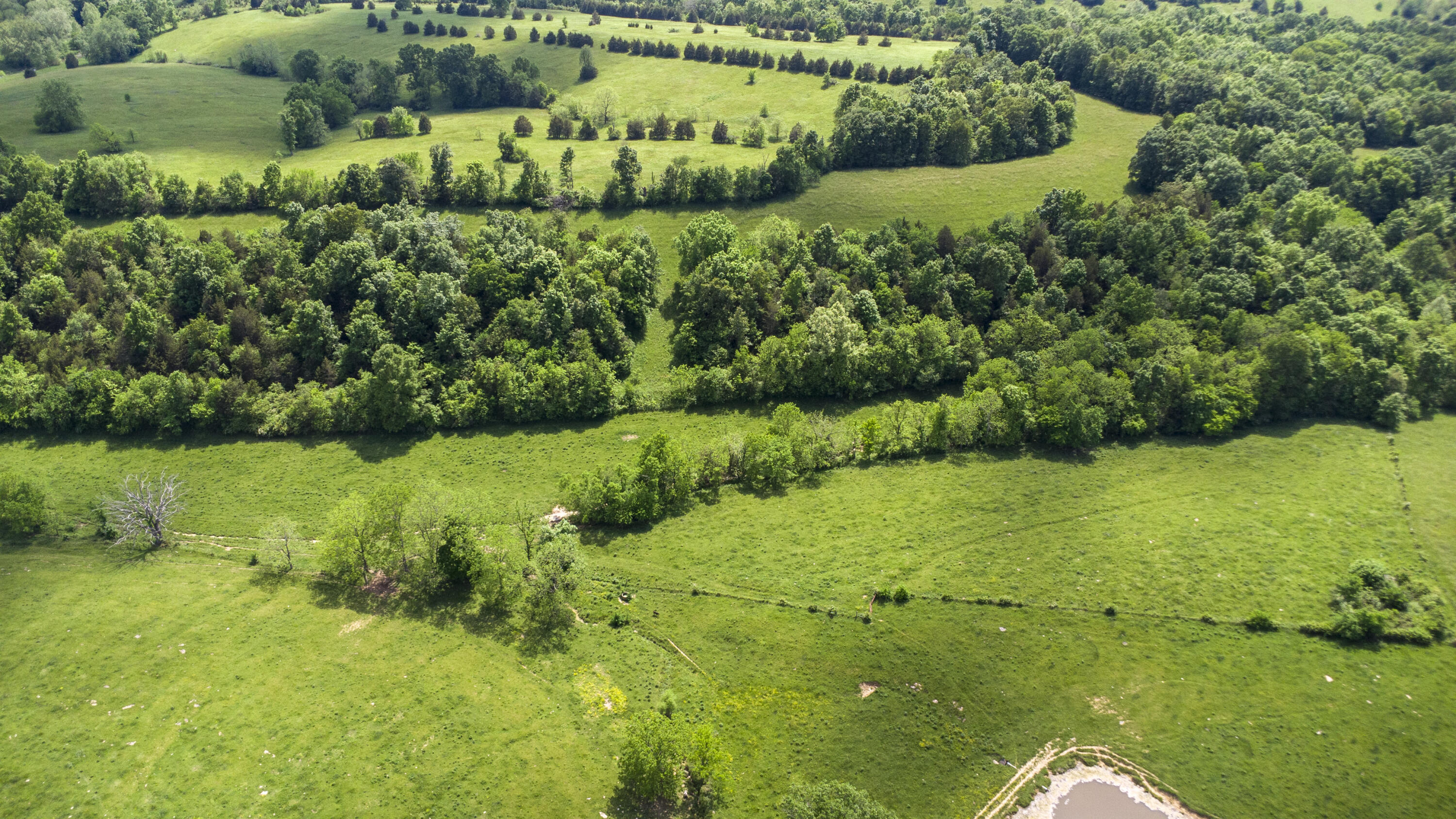850 West Gardner Road Cynthiana, KY 41031 - Photo 28 of 45