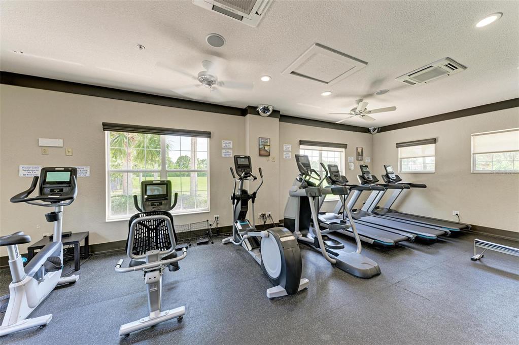 9950 52nd Street East Parrish, FL 34219 - Photo 39 of 48 a view of a room with gym equipment