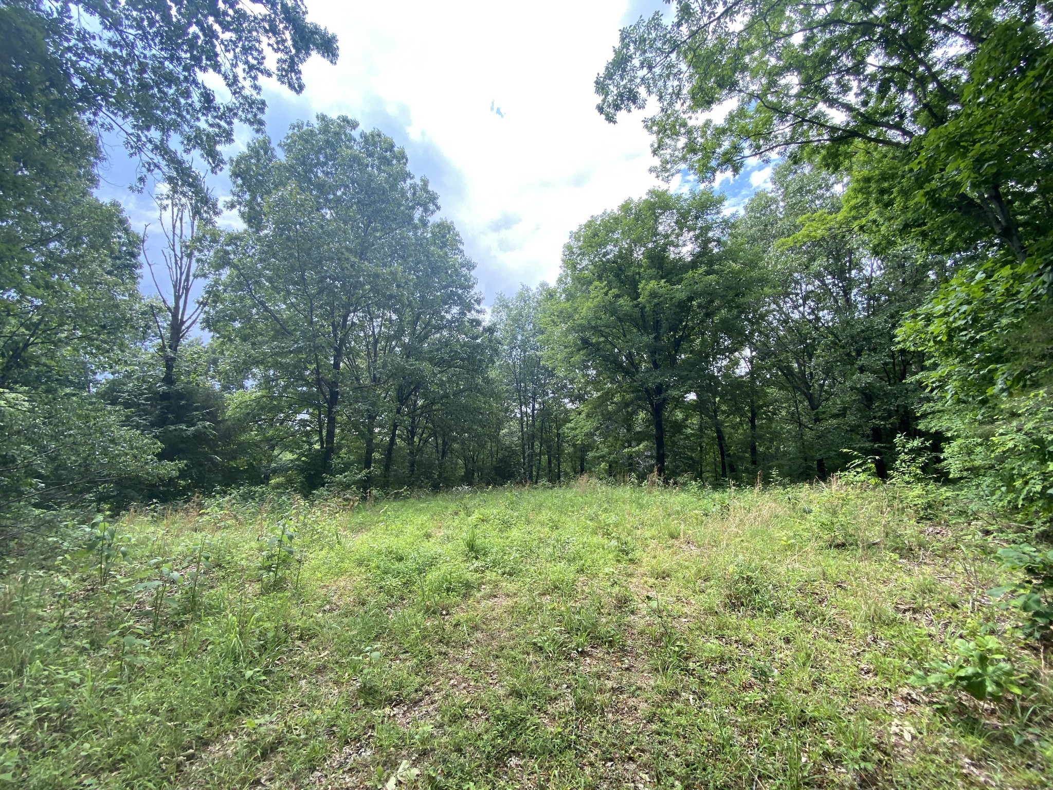 0 Gimlet Creek Road Lawrenceburg, TN 38464 - Photo 12 of 22
