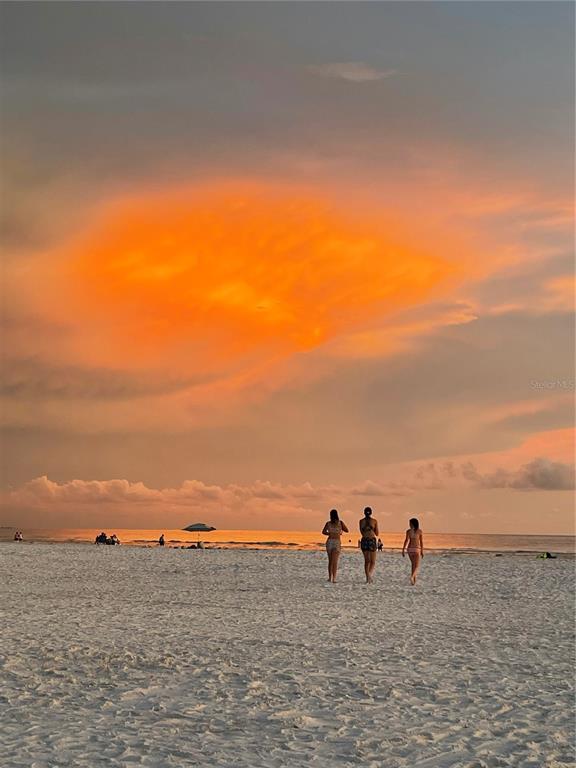 1709 North Tamiami Trail, Unit 213 Sarasota, FL 34234 - Photo 47 of 49 a view of a beach and ocean