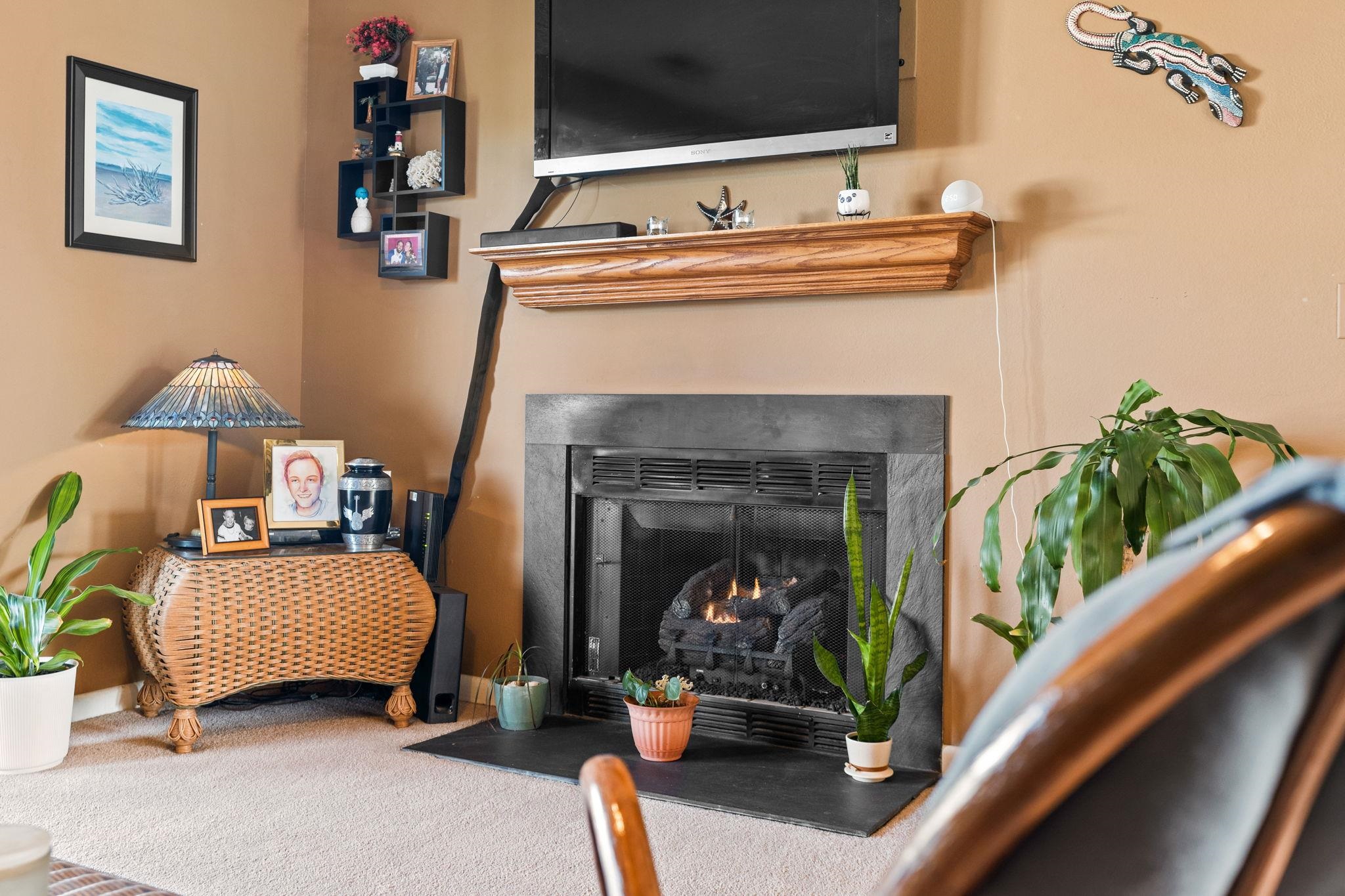 220 Myrtle Greens Drive, Unit I Conway, SC 29526 - Photo 5 of 30 Detailed view of carpet and a fireplace with flush hearth