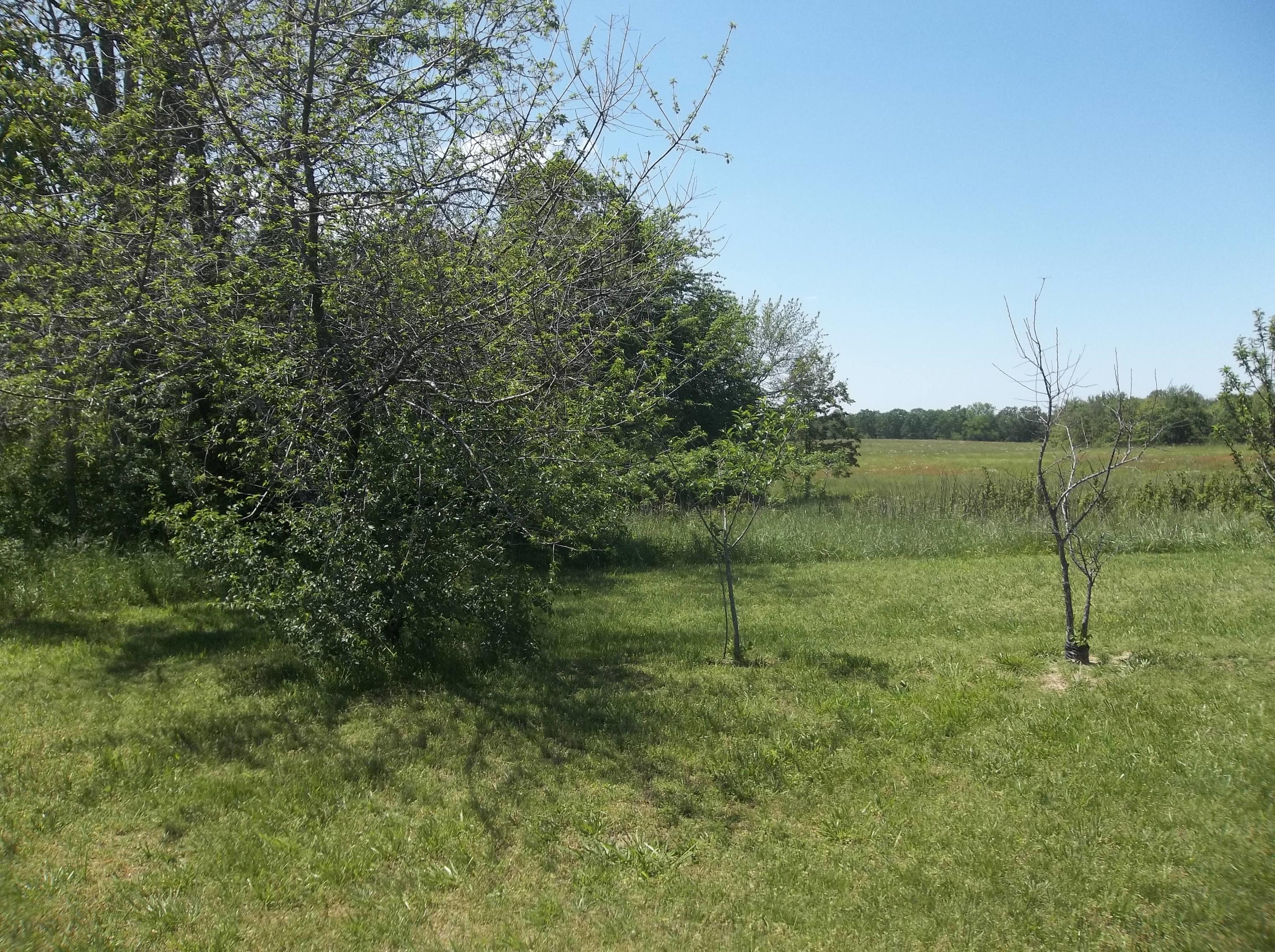 2787 Simmons Road Pikeville, TN 37367 - Photo 20 of 38 100_4327