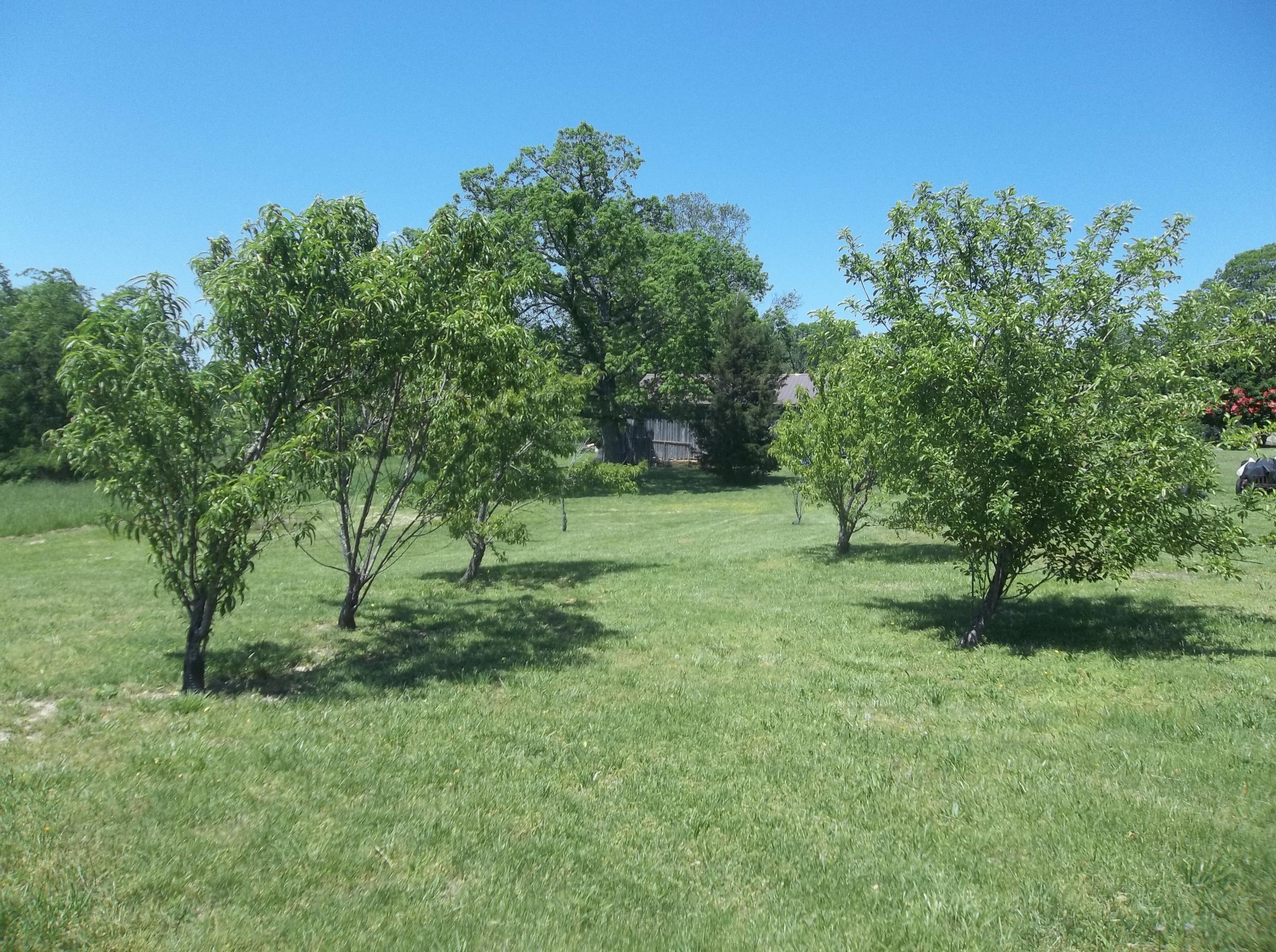2787 Simmons Road Pikeville, TN 37367 - Photo 24 of 38 100_4332