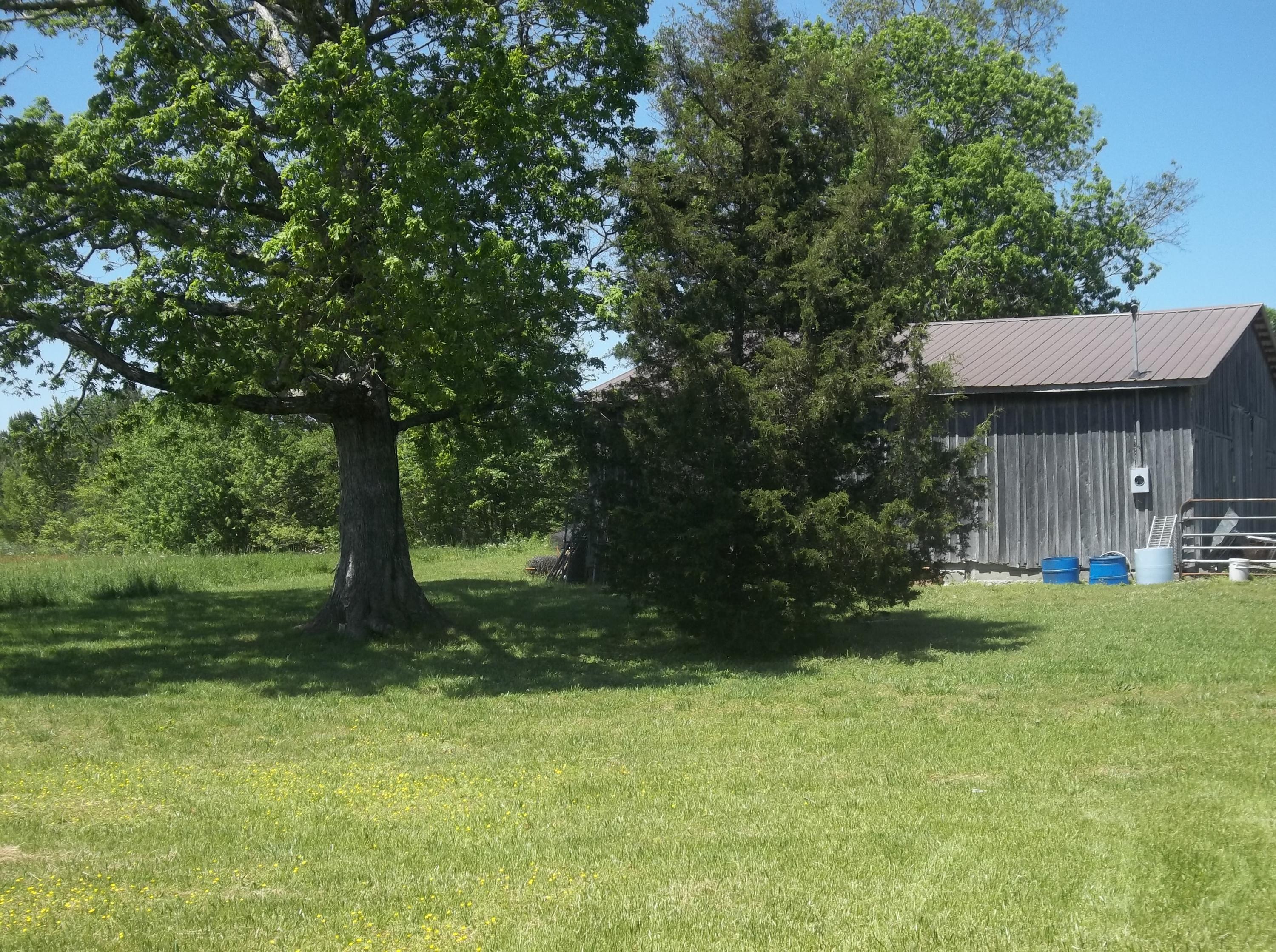 2787 Simmons Road Pikeville, TN 37367 - Photo 26 of 38 100_4335