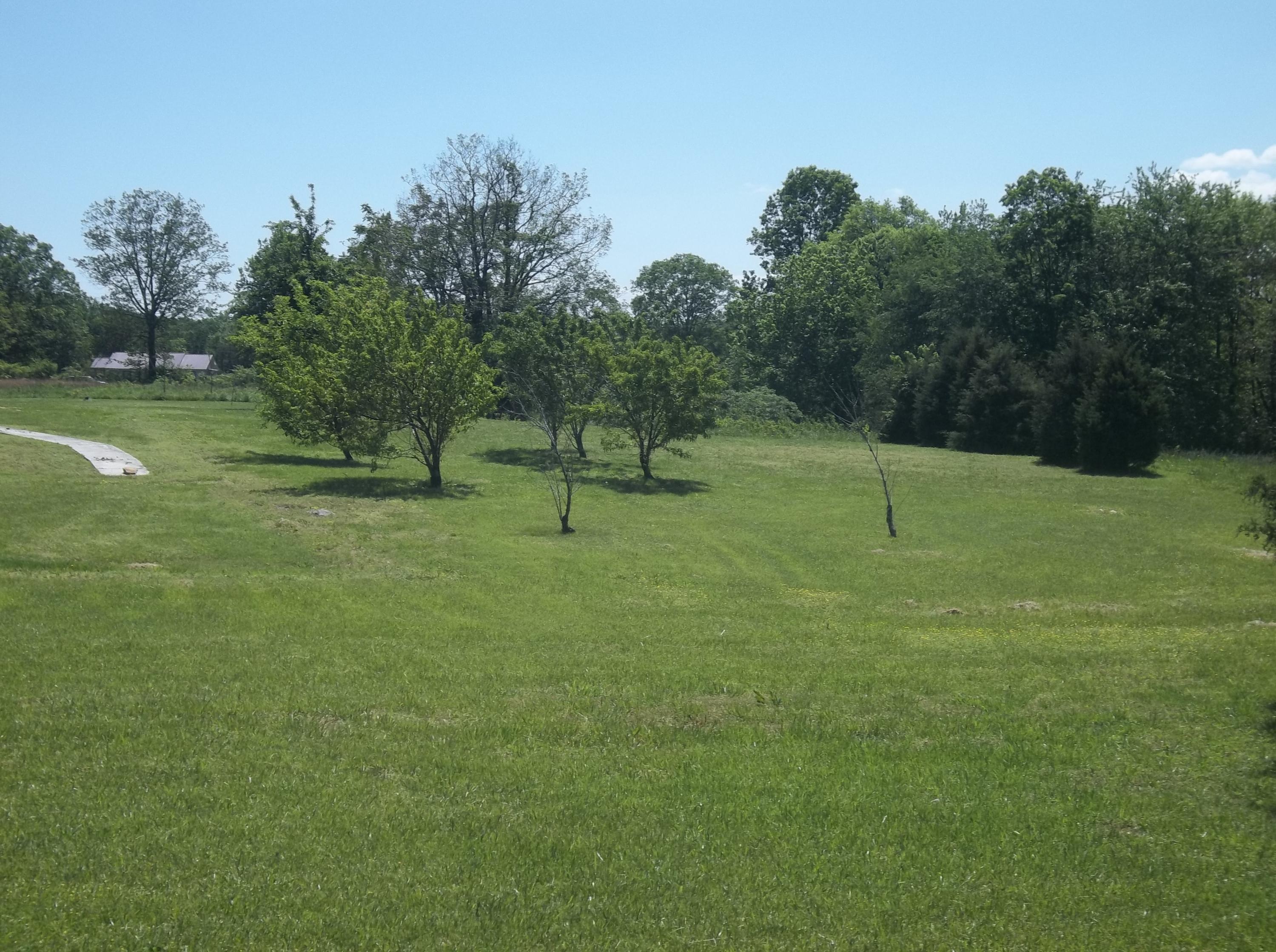 2787 Simmons Road Pikeville, TN 37367 - Photo 36 of 38 100_4343