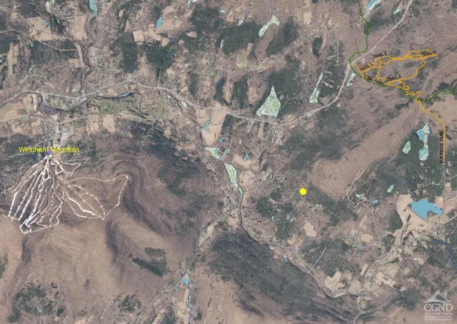 a view of a barn with a yard and large tree