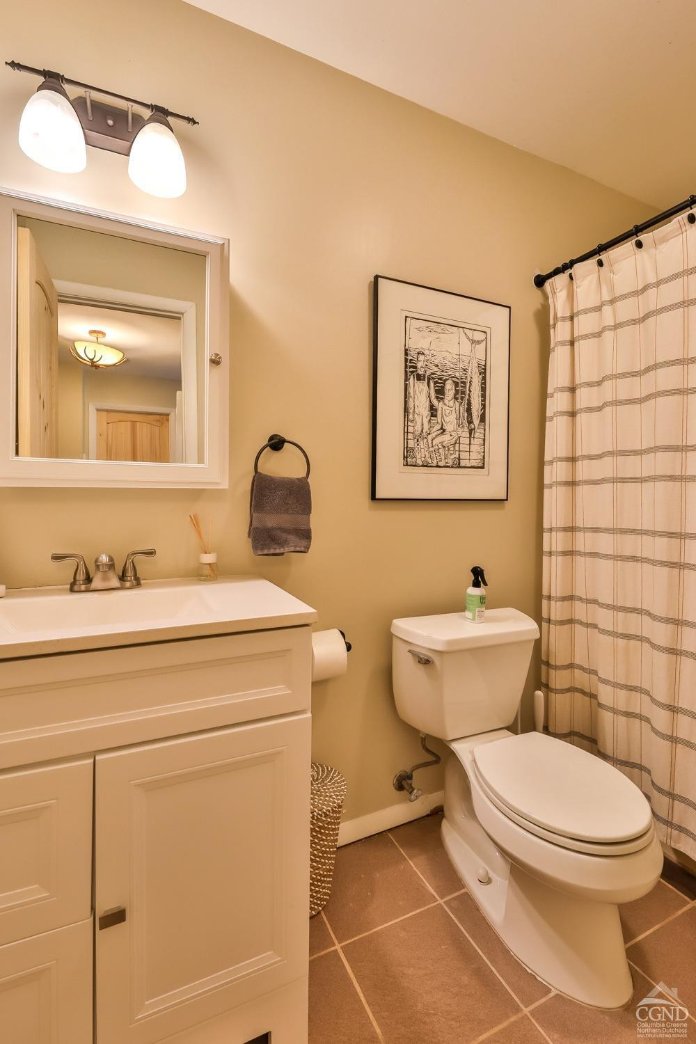 110-2 Highridge Road Windham, NY 12439 - Photo 45 of 48 a bathroom with a toilet a sink and mirror