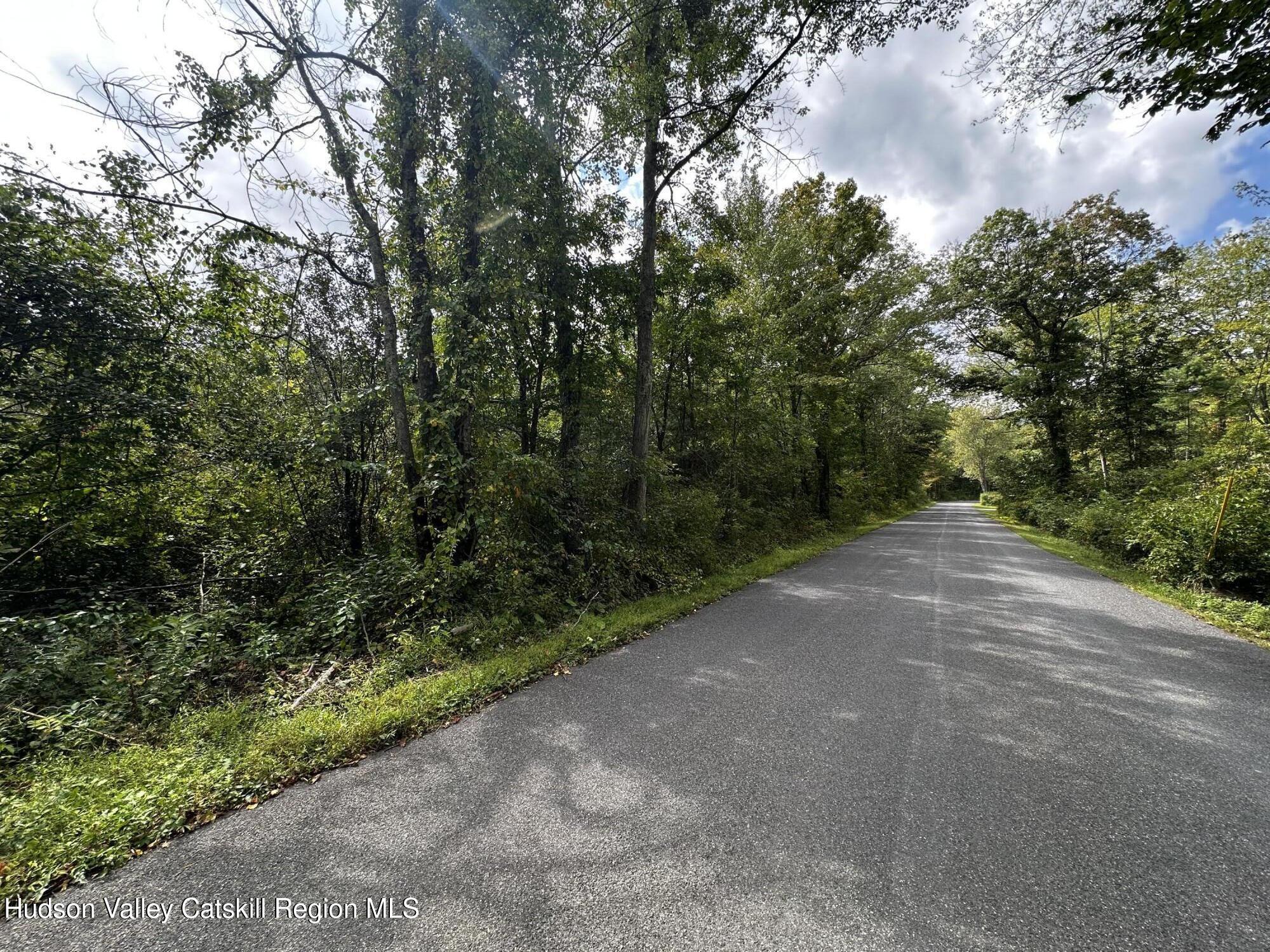 19 Kelly Road Saugerties, NY 12477 - Photo 2 of 4 a view of a forest with trees in front of it