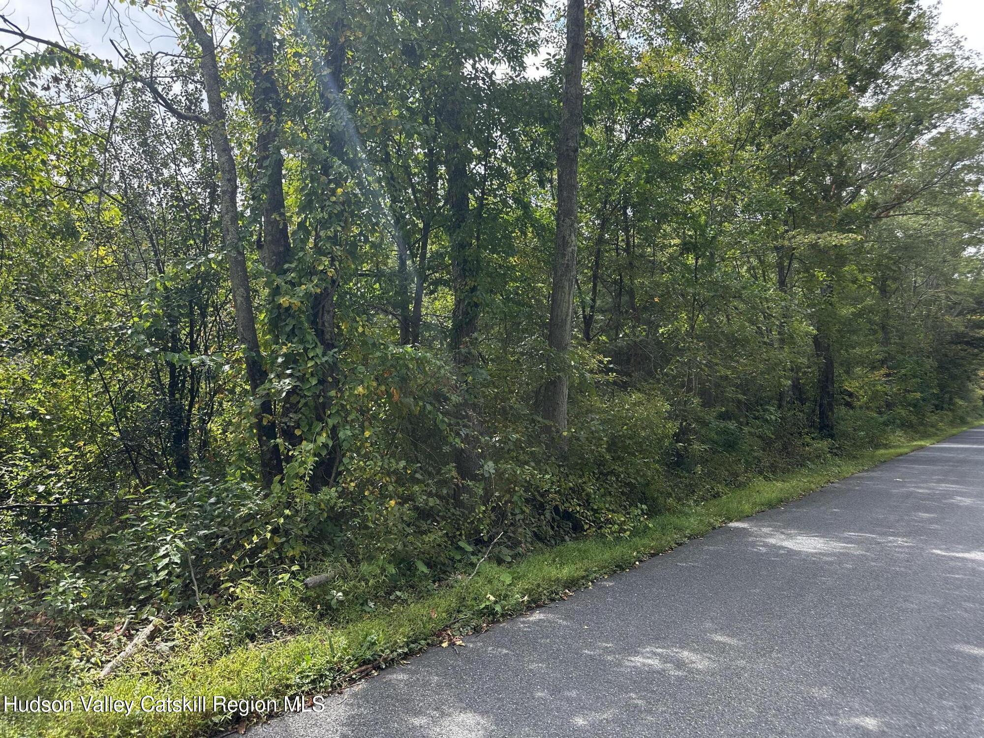 19 Kelly Road Saugerties, NY 12477 - Photo 3 of 4 a view of a forest with trees in the background