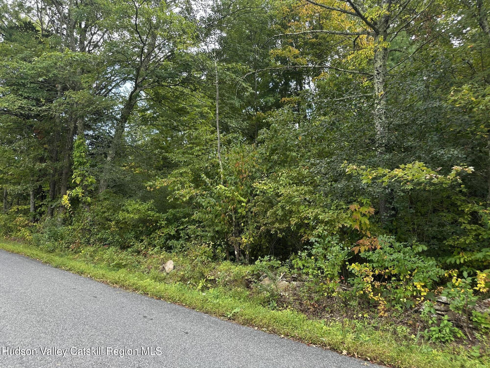 19 Kelly Road Saugerties, NY 12477 - Photo 4 of 4 a view of a lush green forest