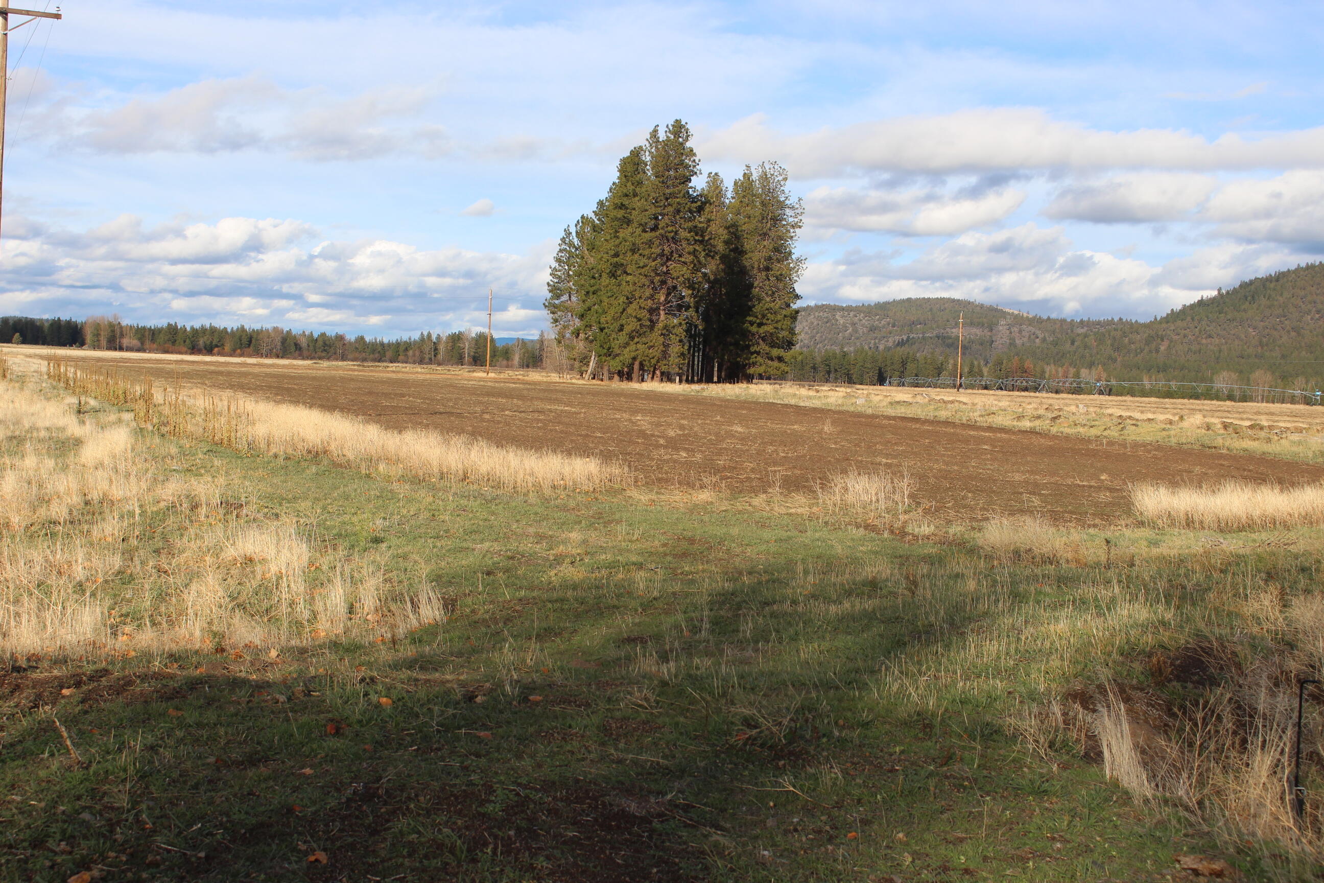 471 Day School Road Chiloquin, OR 97624 - Photo 15 of 29 IMG_3838