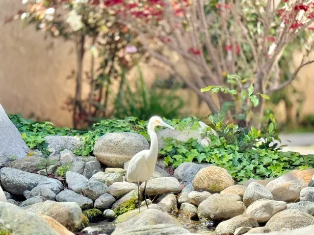 a view of street with parked cars