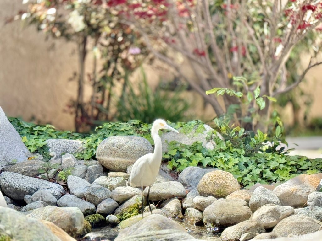 7890 East Spring Street, Unit 2F Long Beach, CA 90815 - Photo 44 of 64 a bunch of flowers with white walls