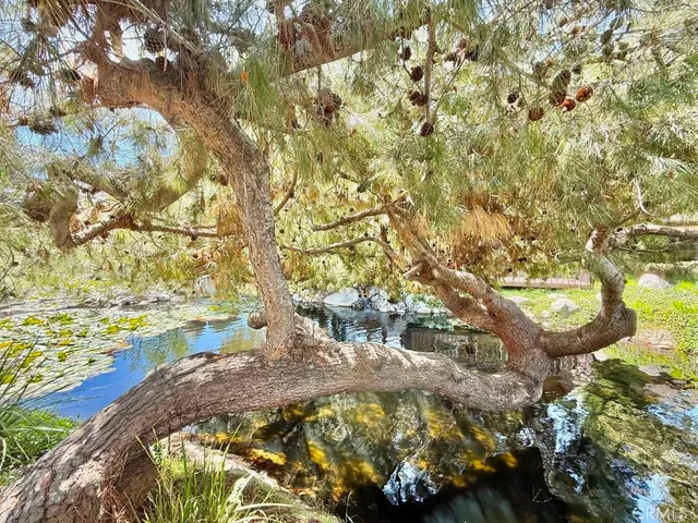 a view of outdoor space with swimming pool