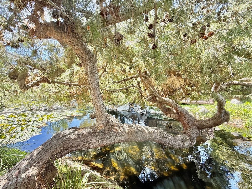 7890 East Spring Street, Unit 2F Long Beach, CA 90815 - Photo 48 of 64 a view of lake with yard