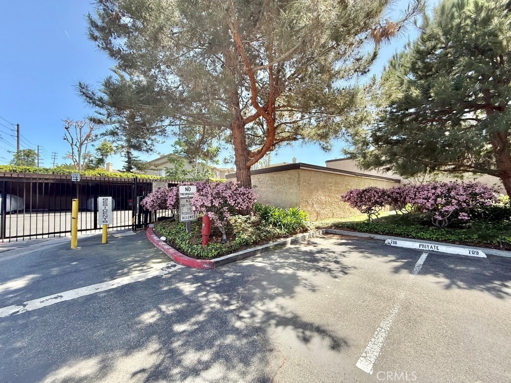 7890 East Spring Street, Unit 2F Long Beach, CA 90815 - Photo 52 of 64 a view of a street with potted plants and a large tree