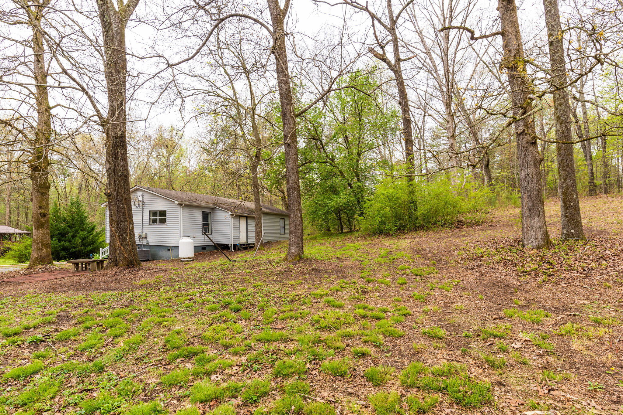 193 Berry Road Rossville, GA 30741 - Photo 28 of 30 10-web-or-mls-DSC_3019