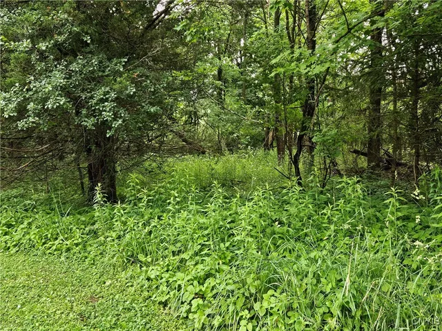 $32,000 | Sims Lane, Cazenovia, NY 13035