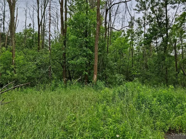 $32,000 | Sims Lane, Cazenovia, NY 13035