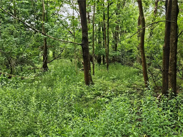 $32,000 | Sims Lane, Cazenovia, NY 13035