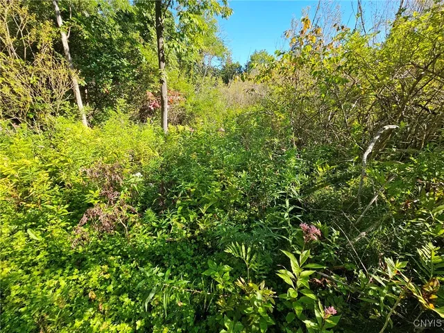 $32,000 | Sims Lane, Cazenovia, NY 13035