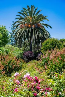$5,250,000 | 82 McNear Drive, San Rafael, CA 94901