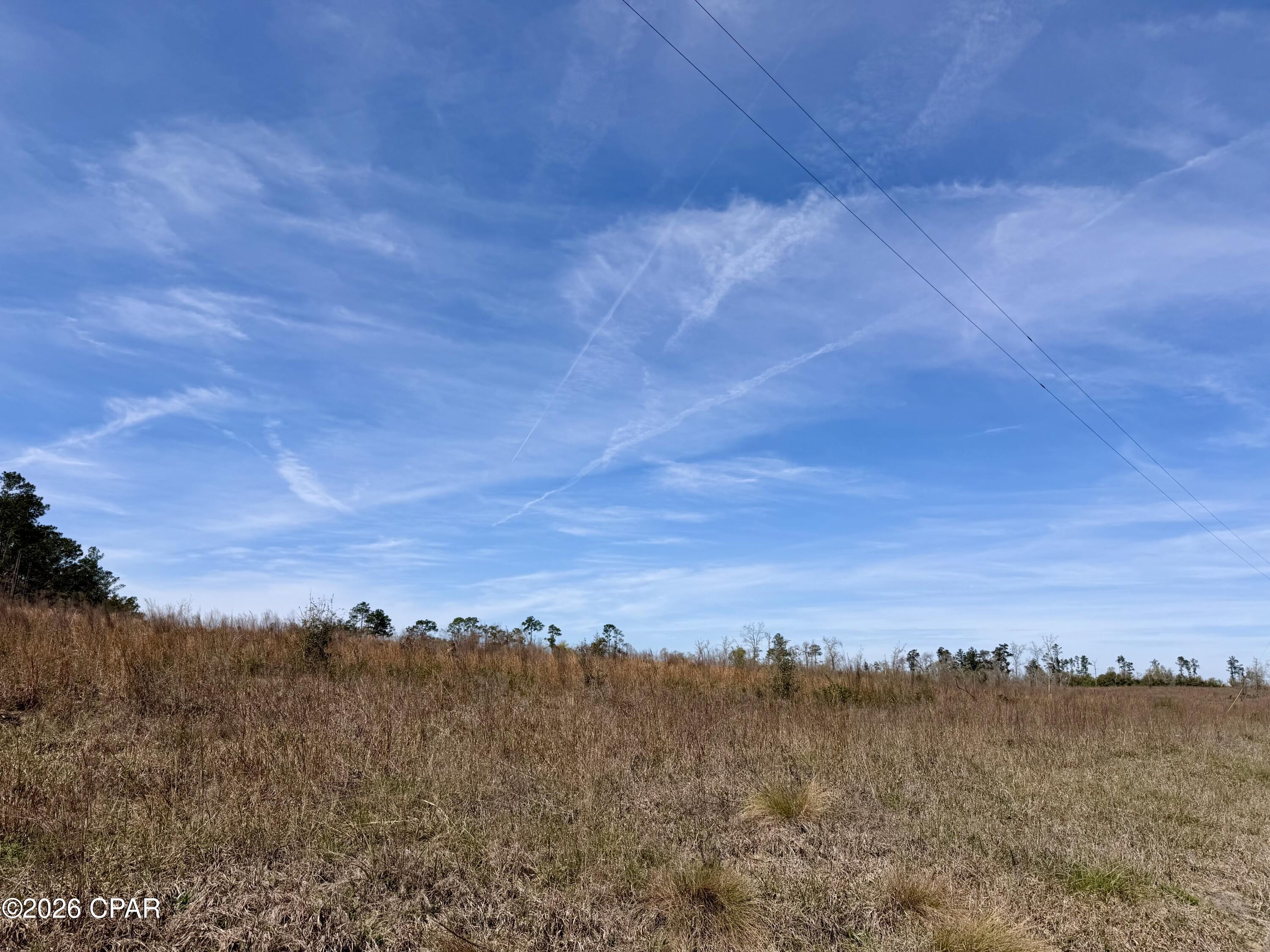 23-acres Davenport Road Marianna, FL 32448 - Photo 3 of 6