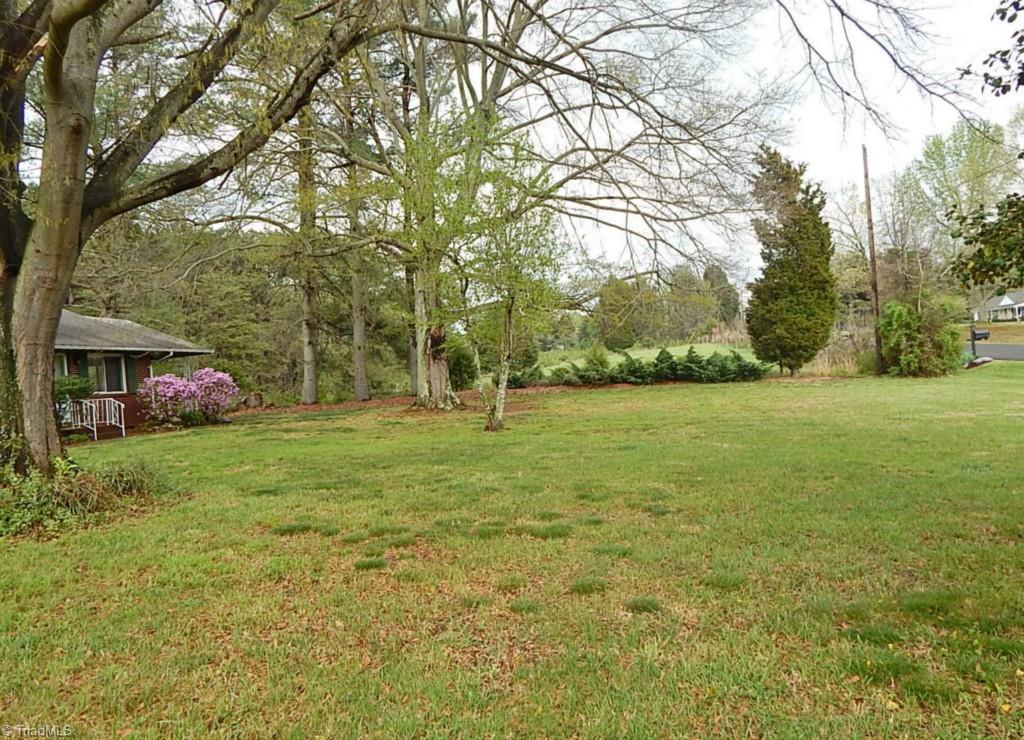 501 Lemons Road Stokesdale, NC 27357 - Photo 25 of 30 Front yard