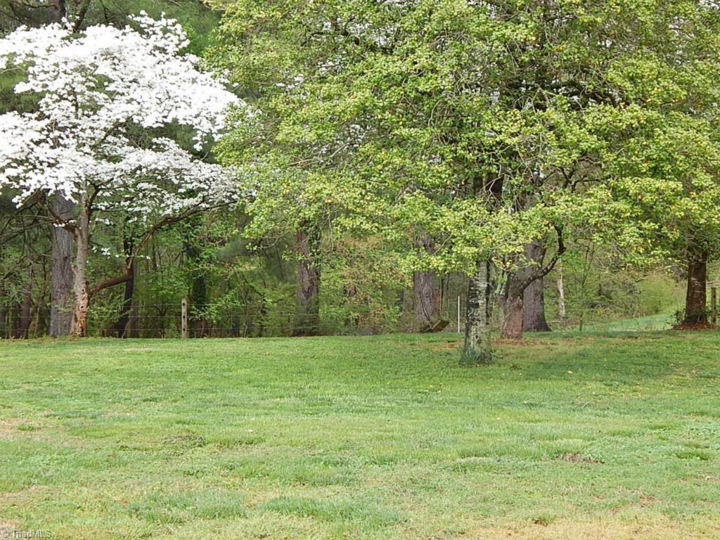 501 Lemons Road Stokesdale, NC 27357 - Photo 27 of 30 Back yard