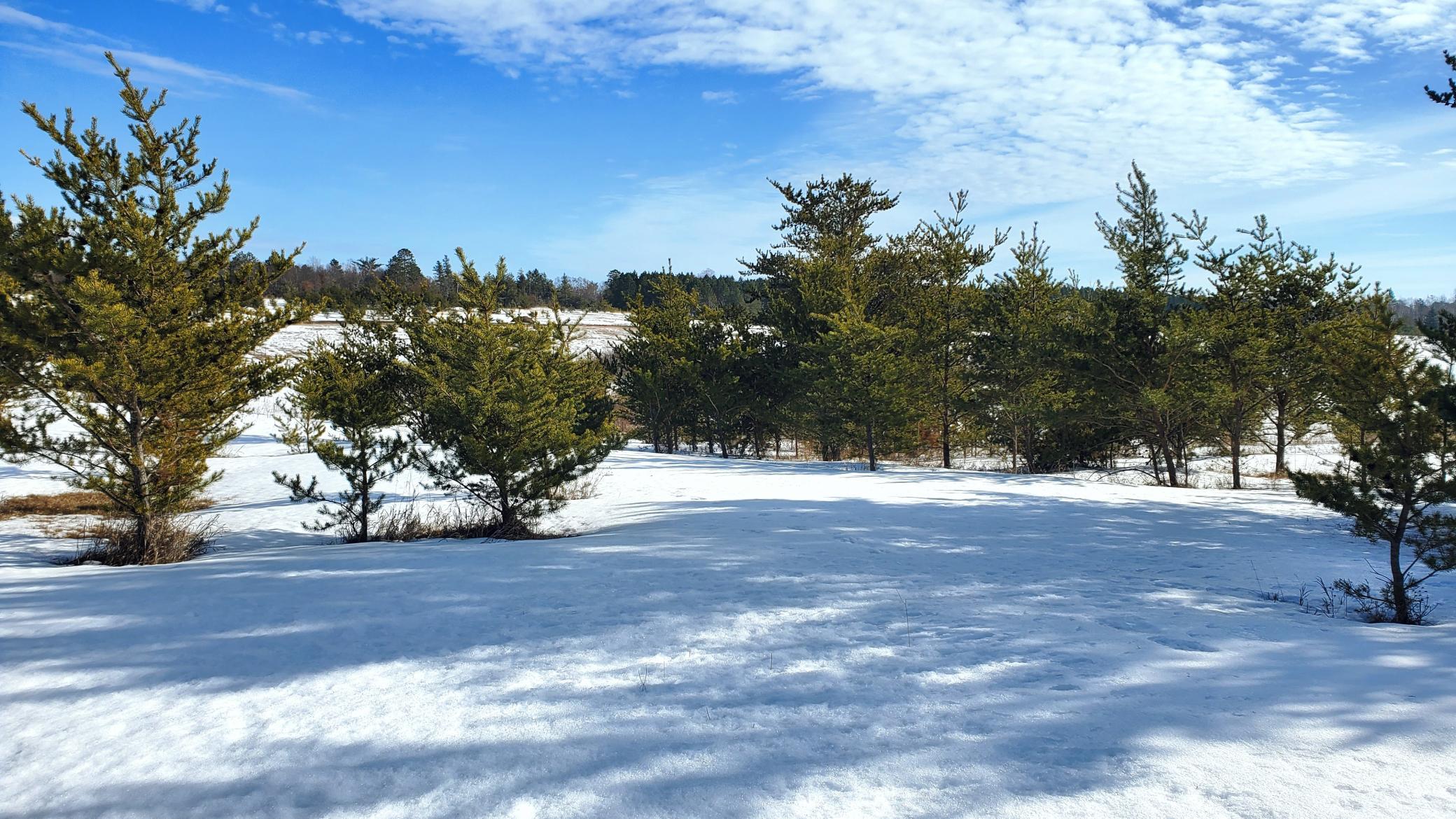 220 Swenson Road Southeast Bemidji, MN 56601 - Photo 29 of 56