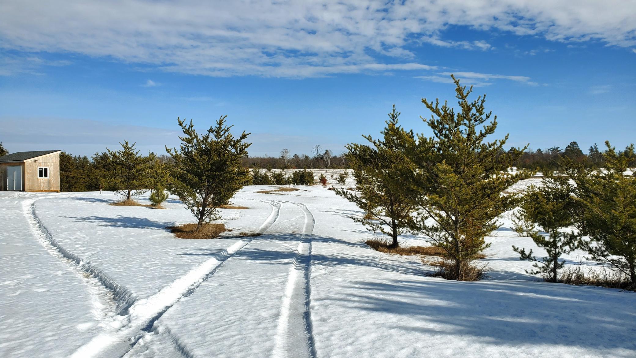 220 Swenson Road Southeast Bemidji, MN 56601 - Photo 30 of 56