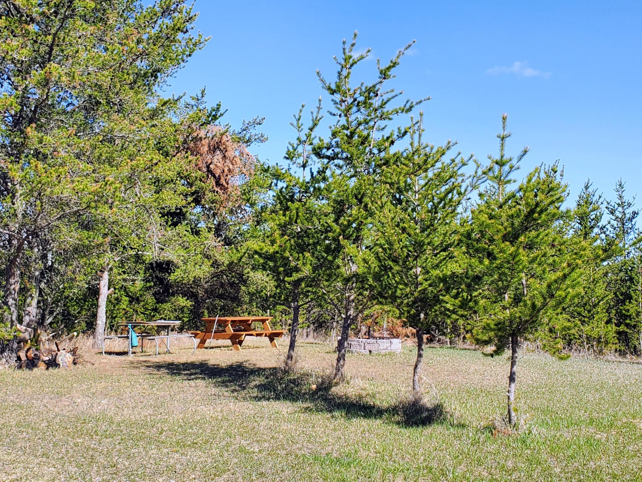220 Swenson Road Southeast Bemidji, MN 56601 - Photo 4 of 56