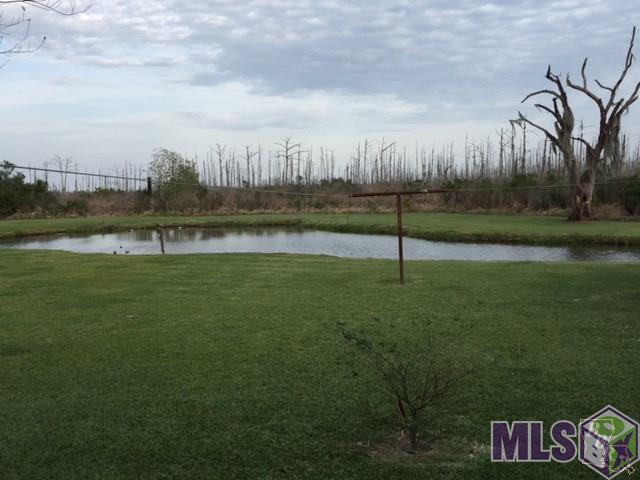 1655 Bayou Dularge Road Theriot, LA 70397 - Photo 6 of 43 pond in back yard